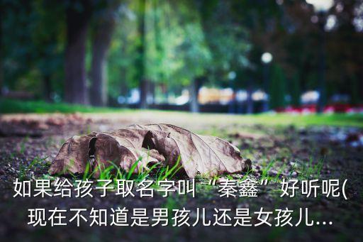 秦鑫,韓鑫熊秦鑫熊李鑫熊:我國將為中國提供援助