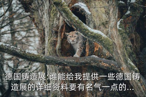 荷蘭自動(dòng)化澆鑄設(shè)備,精密鑄造廠鑄造方法和鑄造設(shè)備