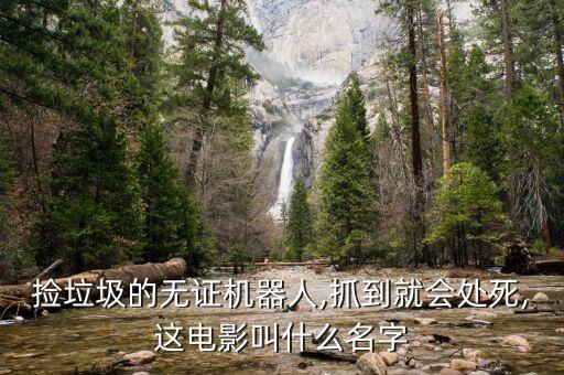撿垃圾的無(wú)證機(jī)器人,抓到就會(huì)處死,這電影叫什么名字