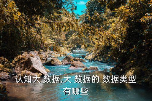 認(rèn)知大 數(shù)據(jù),大 數(shù)據(jù)的 數(shù)據(jù)類型有哪些