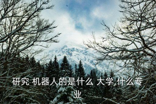 研究 機(jī)器人的是什么 大學(xué),什么專(zhuān)業(yè)