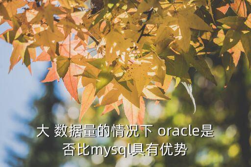 oracle大數(shù)據(jù)量,Oracle大數(shù)據(jù)量查詢定位報(bào)錯(cuò)的那一條數(shù)據(jù)