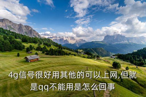 4g信號很好用其他的可以上網(wǎng),但就是qq不能用是怎么回事