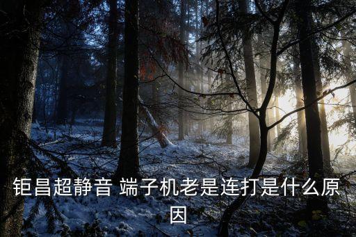 鉅昌超靜音 端子機(jī)老是連打是什么原因