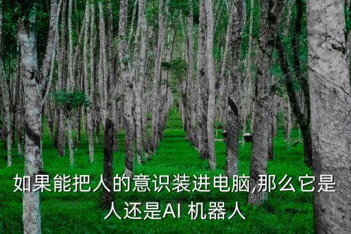 erica機器人