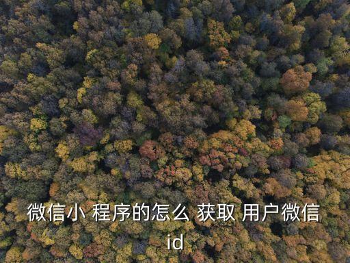 小程序能獲取用戶數(shù)據(jù),微信小程序獲取data中的數(shù)據(jù)