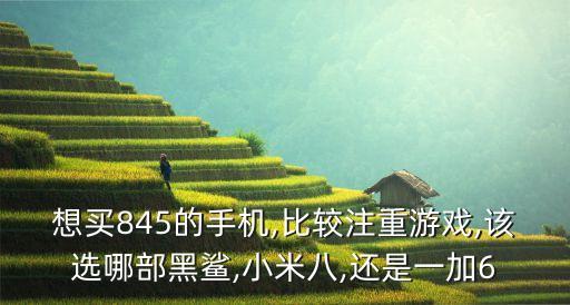 黑鯊和一加6實(shí)測(cè)數(shù)據(jù),一加6還是黑鯊?米粉推薦!