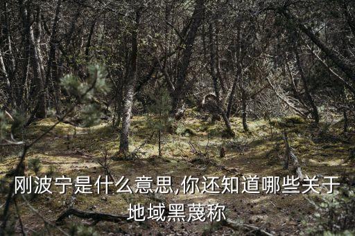 剛波寧是什么意思,你還知道哪些關(guān)于地域黑蔑稱