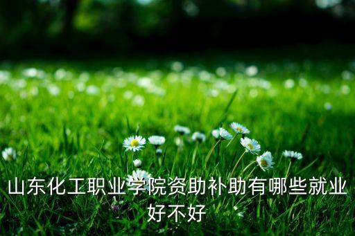 山東化工職業(yè)學(xué)院資助補(bǔ)助有哪些就業(yè)好不好