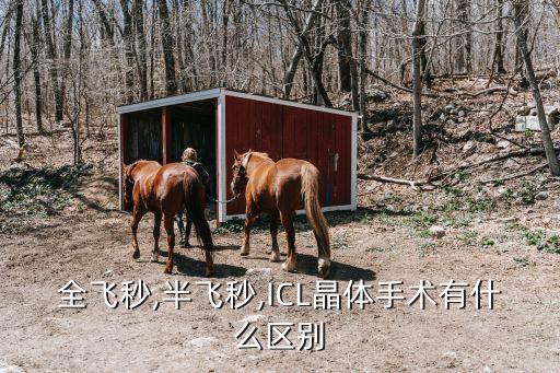飛秒激光器,飛秒激光器是怎么一回事?