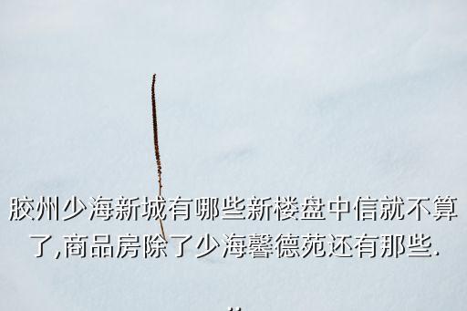 青島盛昌德自動化設備有限公司,