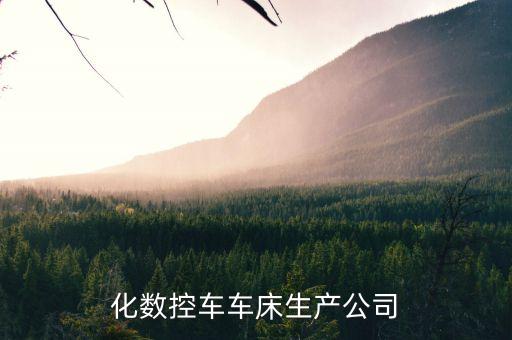 自動(dòng)化數(shù)控車車床生產(chǎn)公司
