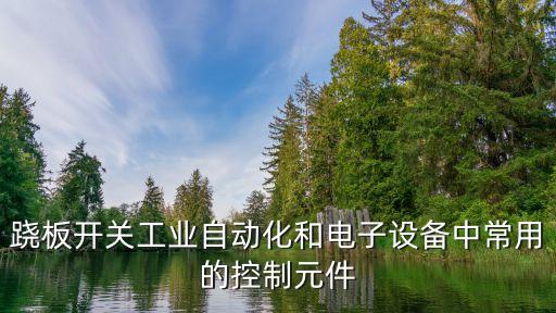 蹺板開關(guān)工業(yè)自動(dòng)化和電子設(shè)備中常用的控制元件