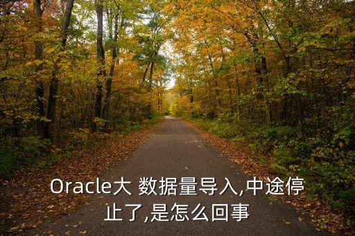 Oracle大 數據量導入,中途停止了,是怎么回事
