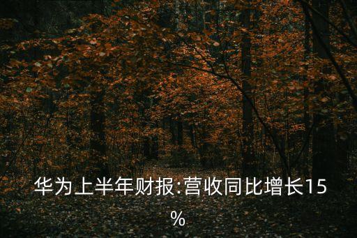  華為上半年財(cái)報(bào):營(yíng)收同比增長(zhǎng)15%