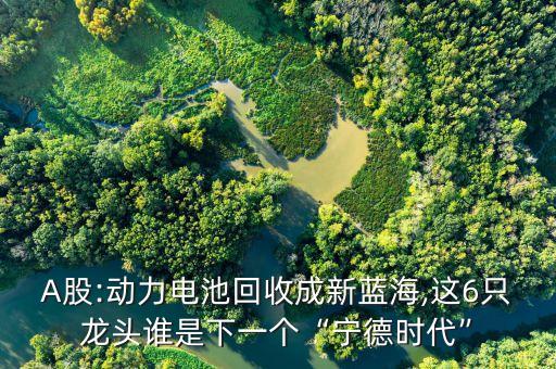 A股:動(dòng)力電池回收成新藍(lán)海,這6只龍頭誰(shuí)是下一個(gè)“寧德時(shí)代”