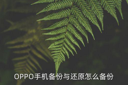 電子數(shù)據(jù)備份 歸檔與恢復(fù)記錄,如何恢復(fù)手機端數(shù)據(jù)?