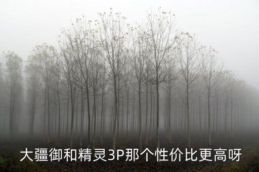  大疆御和精靈3P那個性價比更高呀