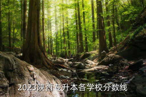 機械自動化專業(yè)知乎,機械電子工程專業(yè)怎么樣?