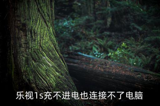樂視1s充不進(jìn)電也連接不了電腦