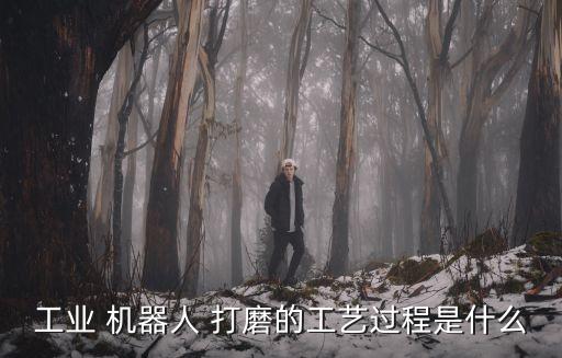 工業(yè) 機(jī)器人 打磨的工藝過(guò)程是什么