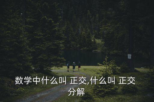 數(shù)學(xué)中什么叫 正交,什么叫 正交 分解