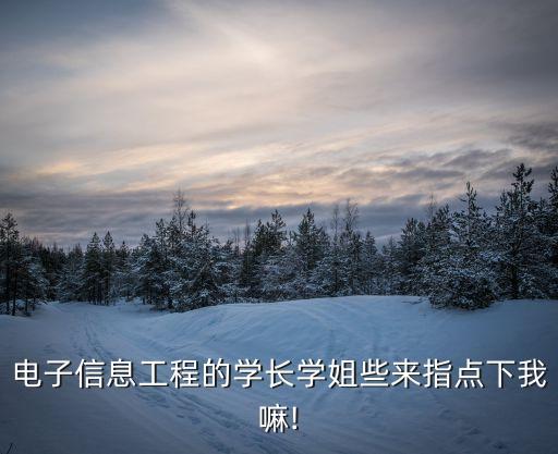 電子信息工程的學(xué)長學(xué)姐些來指點(diǎn)下我嘛!