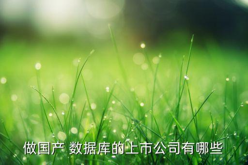 做國產(chǎn) 數(shù)據(jù)庫的上市公司有哪些