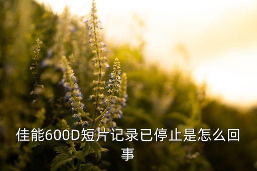 佳能600D短片記錄已停止是怎么回事