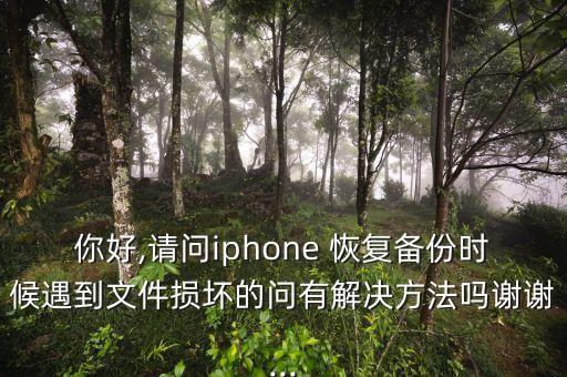 你好,請問iphone 恢復備份時候遇到文件損壞的問有解決方法嗎謝謝...