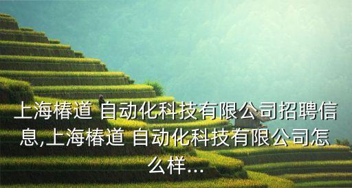 金山區(qū)自動(dòng)化包裝設(shè)備檢測(cè),常州自動(dòng)化包裝設(shè)備有限公司