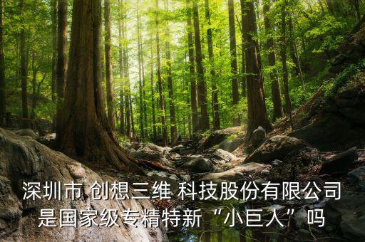 深圳市 創(chuàng)想三維 科技股份有限公司是國(guó)家級(jí)專精特新“小巨人”嗎