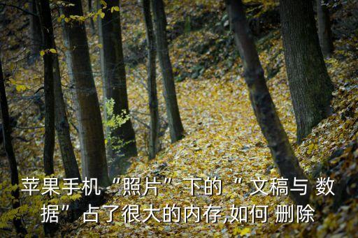 蘋果手機“照片”下的“ 文稿與 數(shù)據(jù)”占了很大的內(nèi)存,如何 刪除