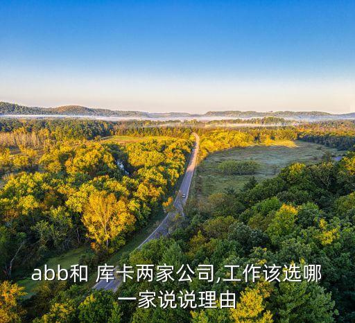 abb和 庫卡兩家公司,工作該選哪一家說說理由