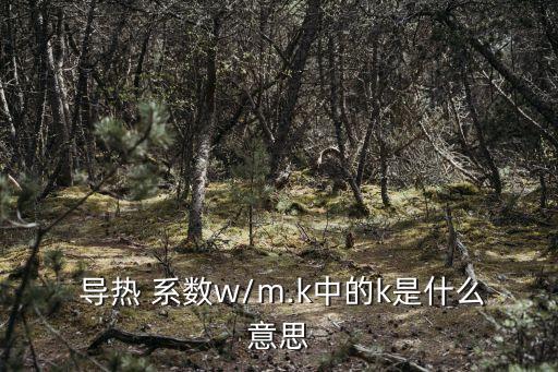  導(dǎo)熱 系數(shù)w/m.k中的k是什么意思