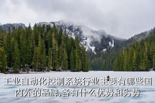 小中型自動(dòng)化設(shè)備批發(fā)市場,工業(yè)自動(dòng)化設(shè)備有限公司怎么樣?