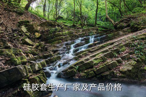 套硅膠的自動化設(shè)備,東莞市博昶自動化設(shè)備有限公司怎么樣?