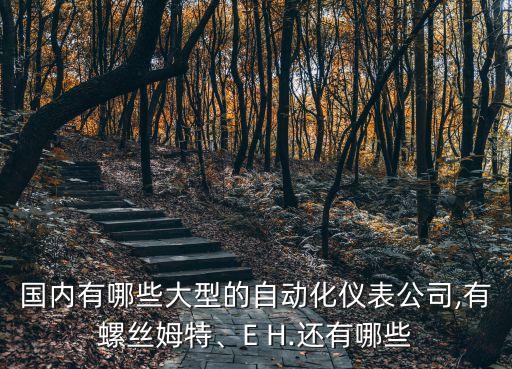 國(guó)內(nèi)有哪些大型的自動(dòng)化儀表公司,有螺絲姆特、E H.還有哪些