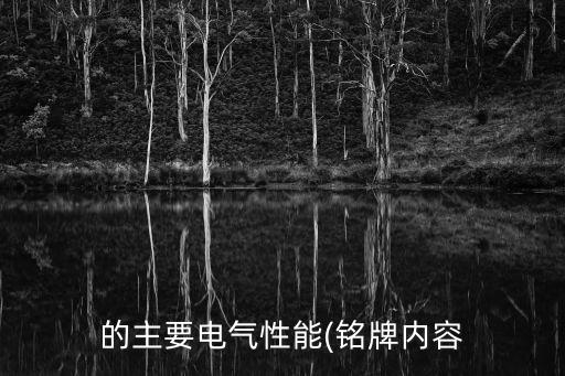 的主要電氣性能(銘牌內(nèi)容