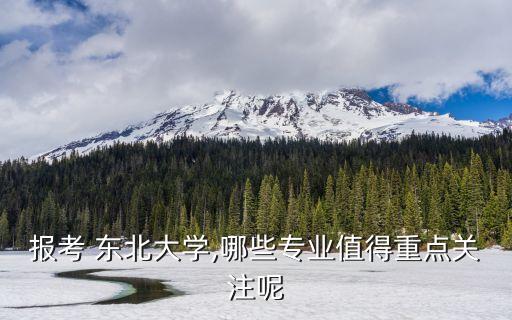 報考 東北大學,哪些專業(yè)值得重點關注呢