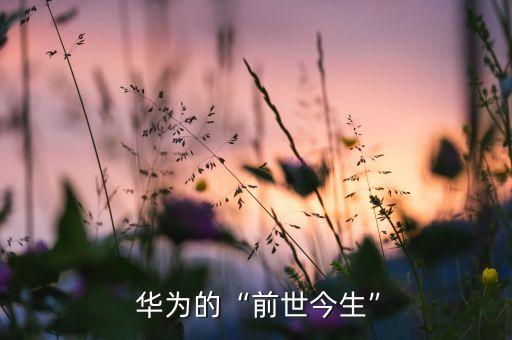  華為的“前世今生”