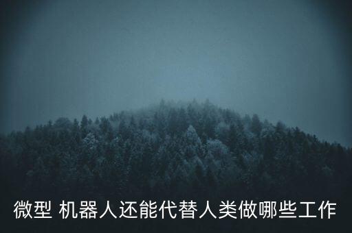 微型 機(jī)器人還能代替人類做哪些工作