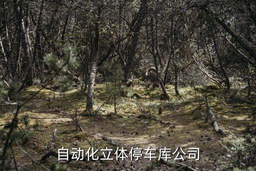 鄭州自動化立體停車庫公司