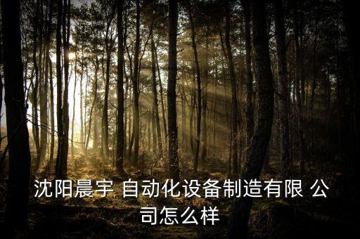  沈陽(yáng)晨宇 自動(dòng)化設(shè)備制造有限 公司怎么樣