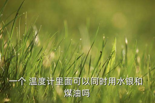 一個 溫度計里面可以同時用水銀和 煤油嗎