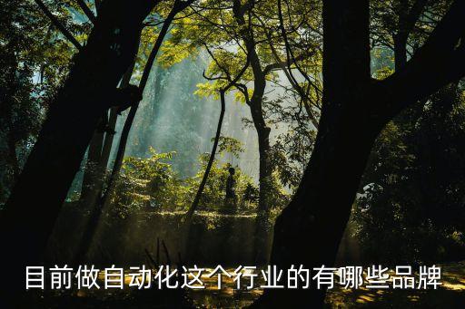目前做自動化這個行業(yè)的有哪些品牌