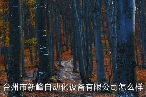 臺州市新峰自動化設(shè)備有限公司怎么樣