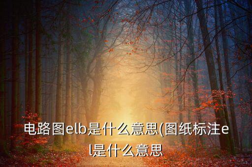 非標(biāo)自動化電氣圖紙標(biāo)注,電氣配電箱里標(biāo)注非標(biāo)是什么意思?