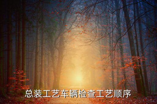總裝工藝車輛檢查工藝順序