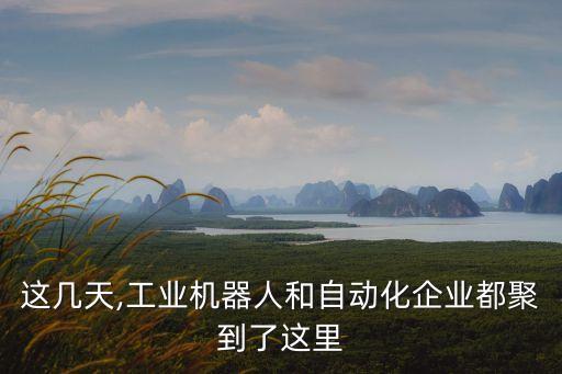這幾天,工業(yè)機器人和自動化企業(yè)都聚到了這里